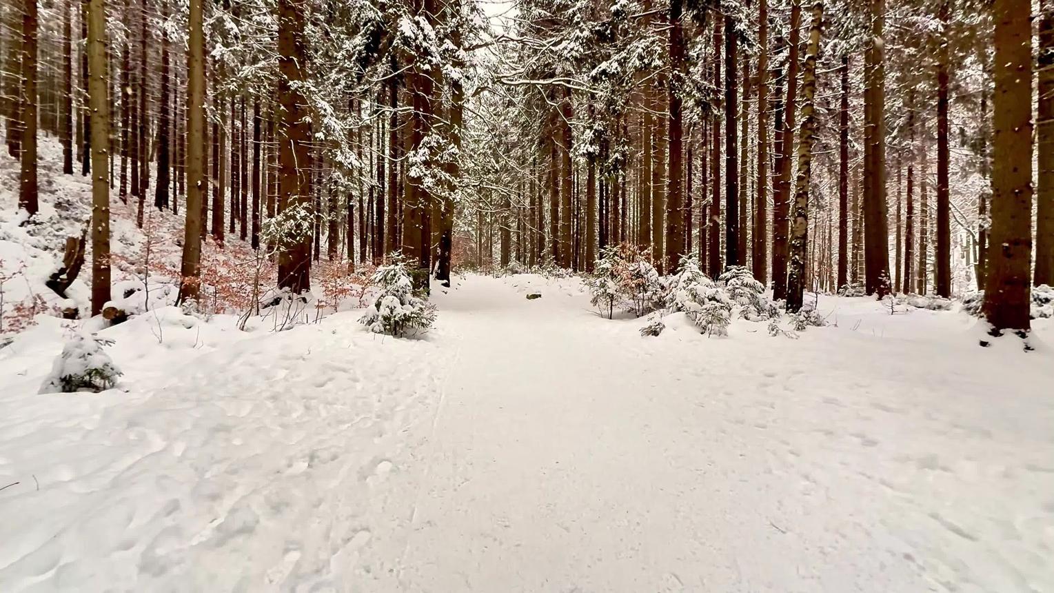 Česká Kanada